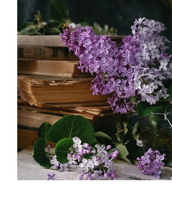 book img